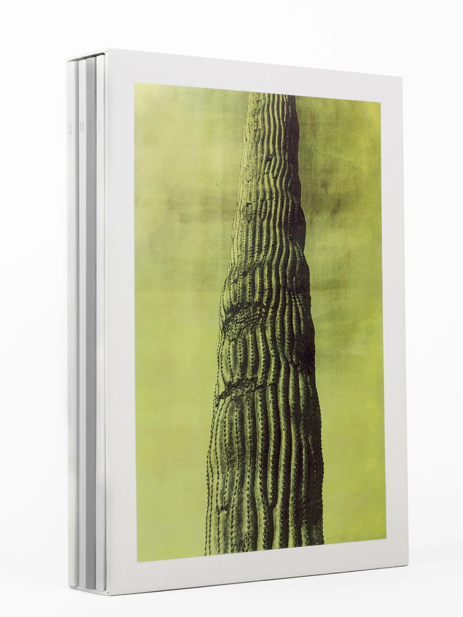 Jungjin Lee: Desert — Radius Books