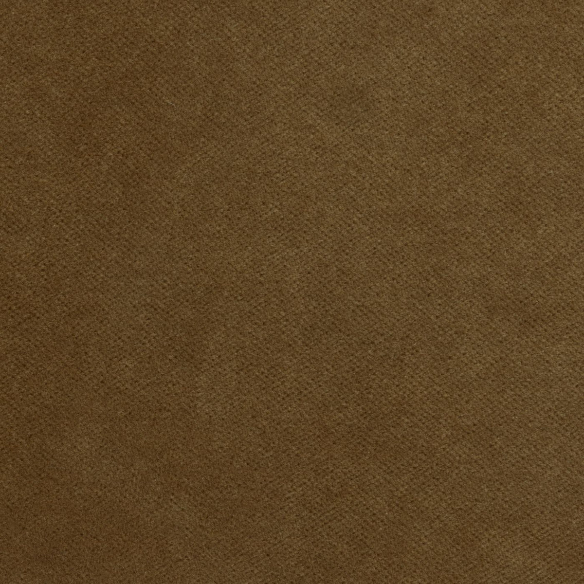Banks Ochre (A) fabric swatch