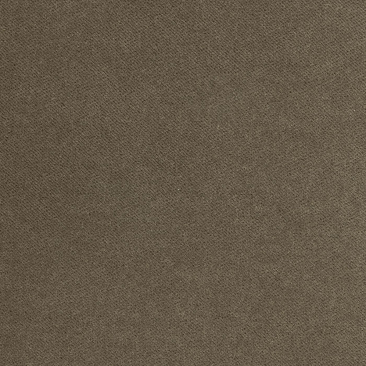 Banks Toffee (A) fabric swatch