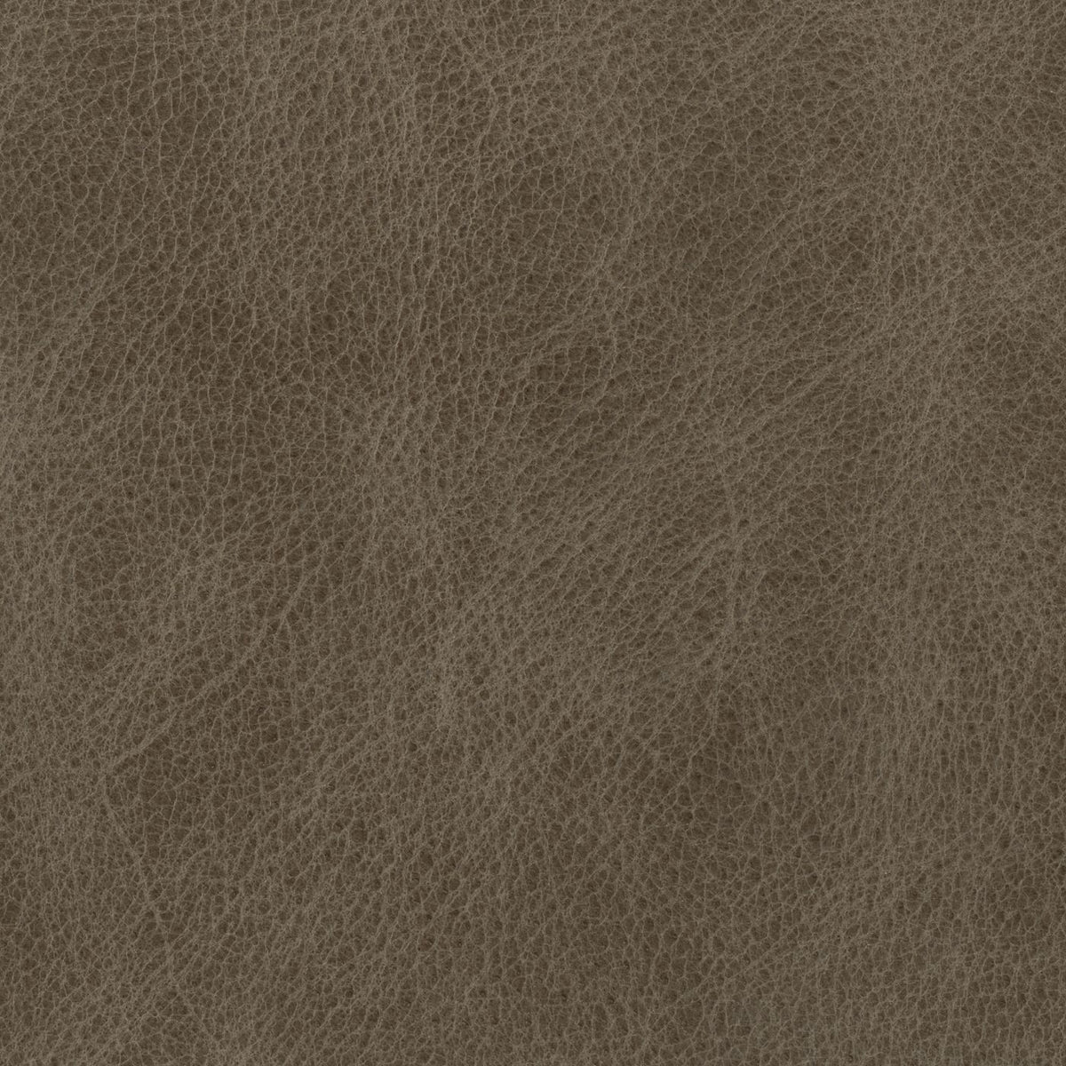 Cambridge Cloud (N) fabric swatch