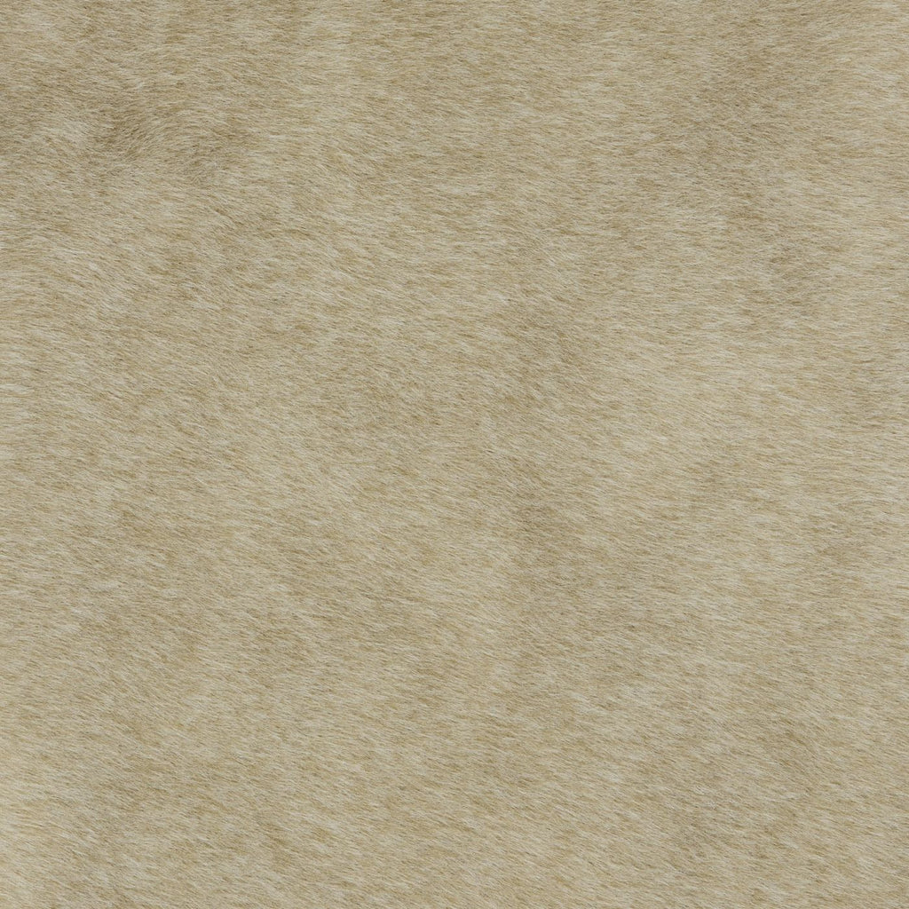 Cashmere Fawn (A) fabric swatch