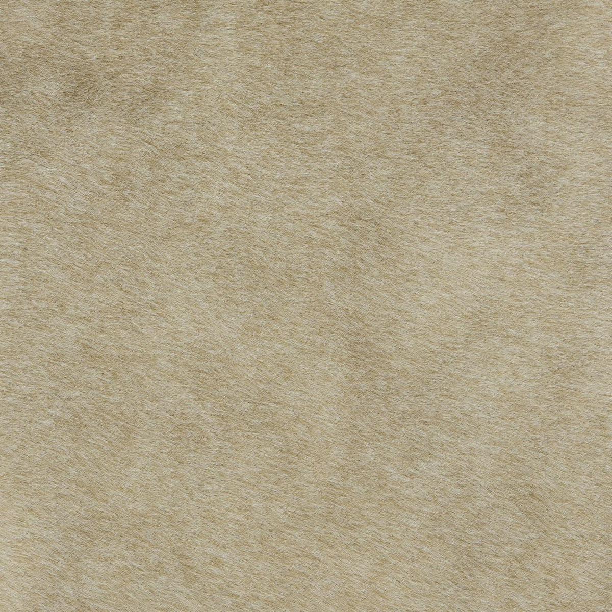 Cashmere Fawn (A) fabric swatch