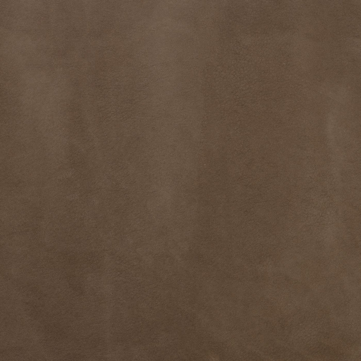 Cuban Grounded (M) fabric swatch