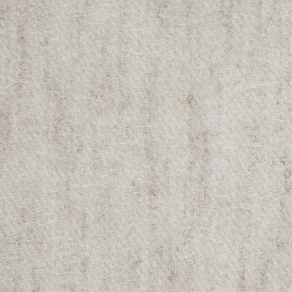 Cuddles Bone (E) fabric swatch