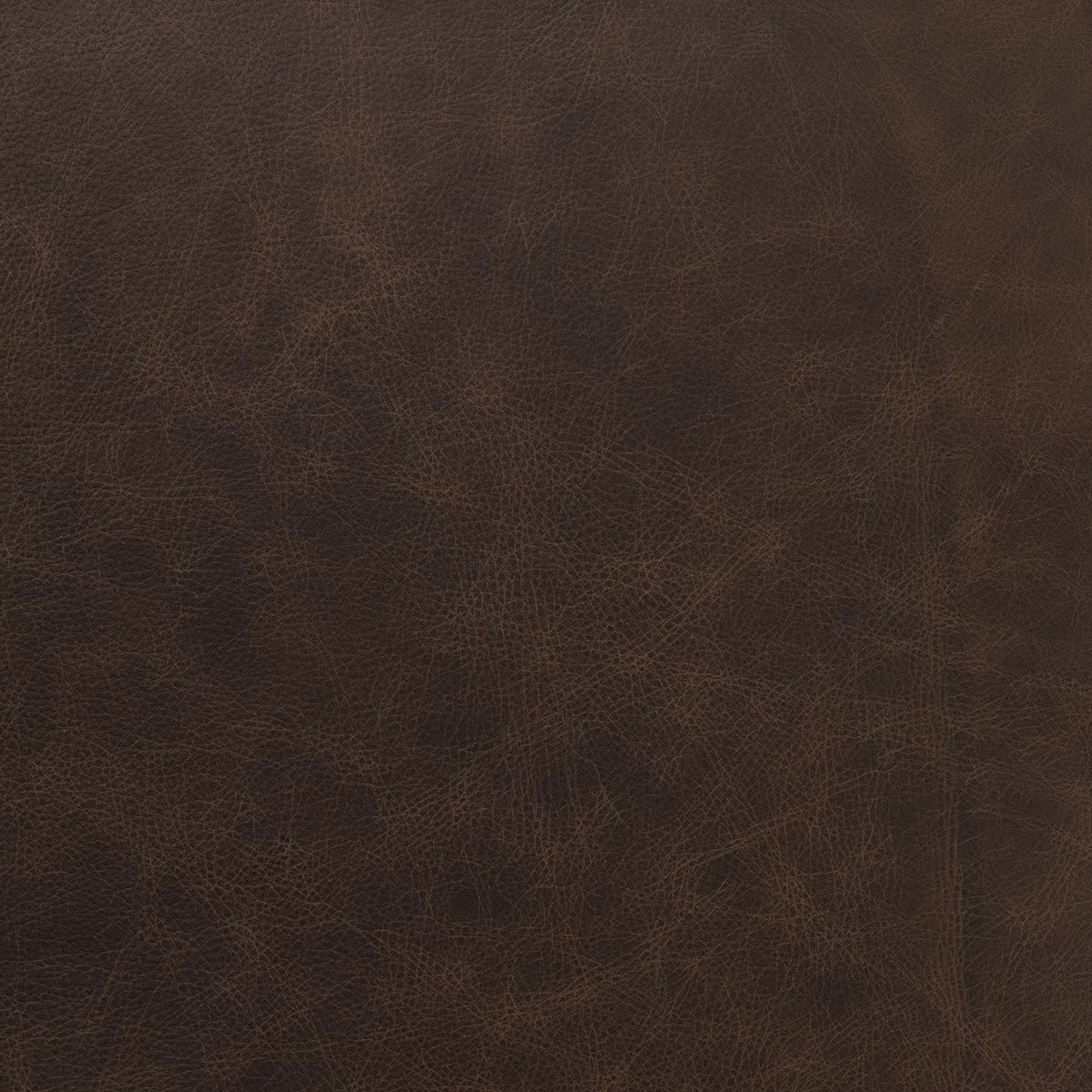 El Paso Brown (M) fabric swatch