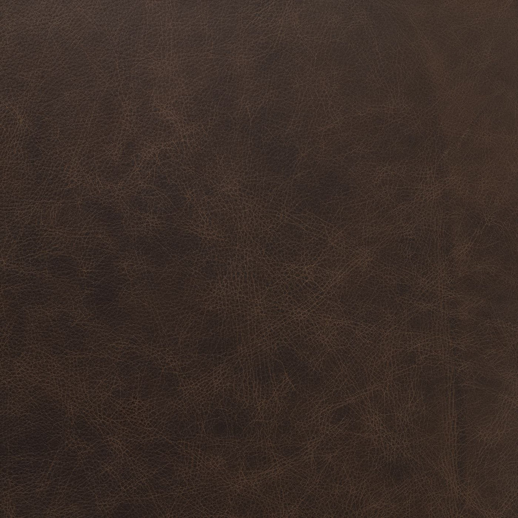 El Paso Brown (M) fabric swatch