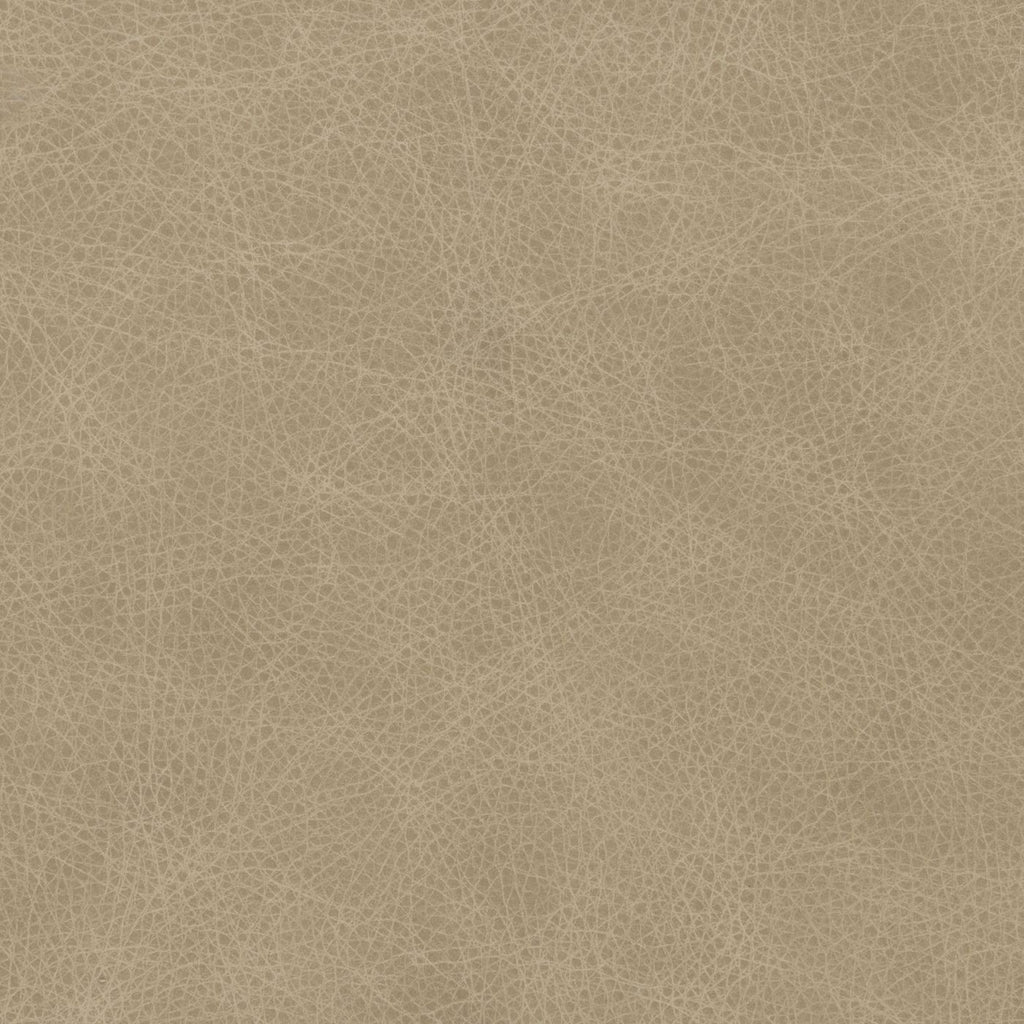El Paso Ivory (M) fabric swatch