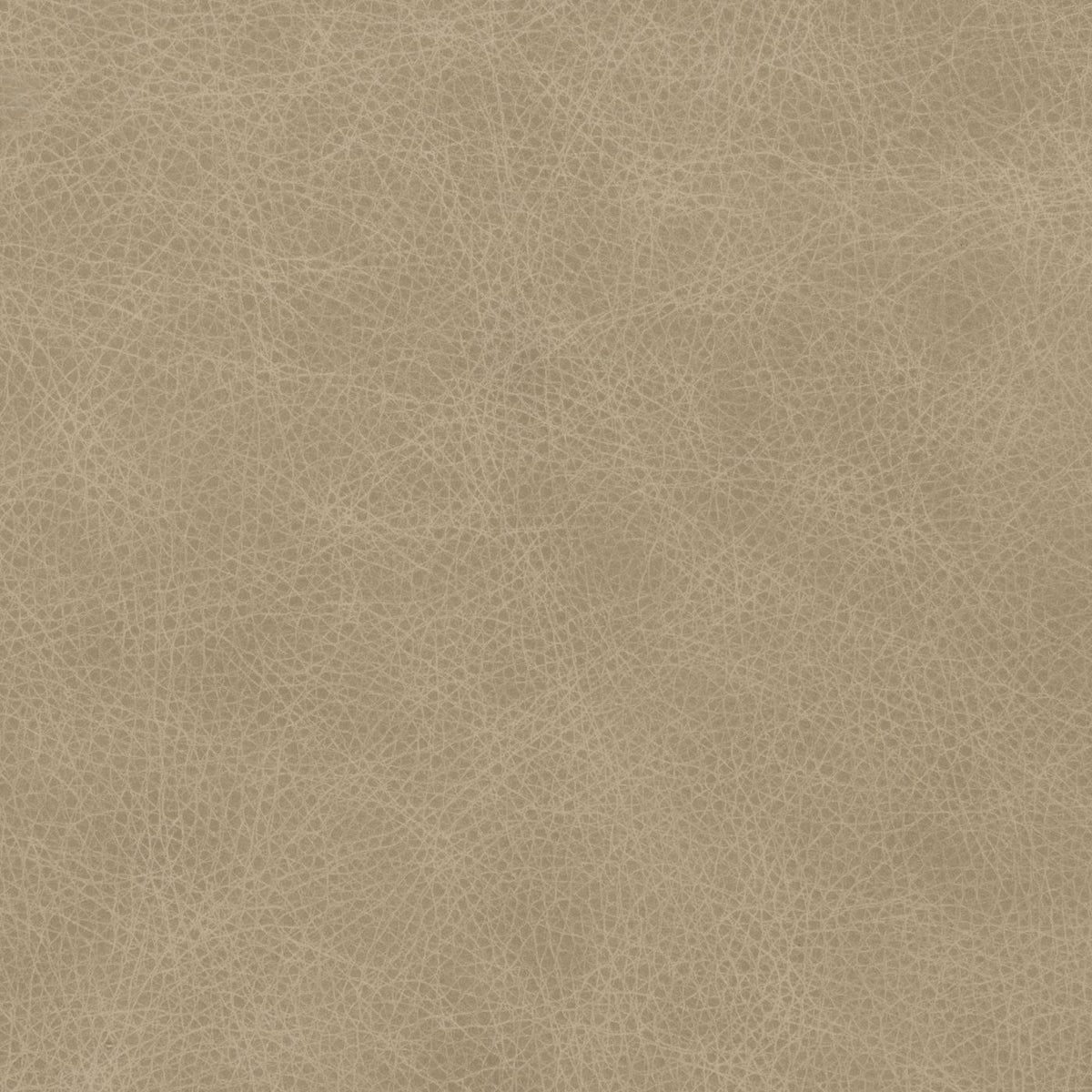 El Paso Ivory (M) fabric swatch