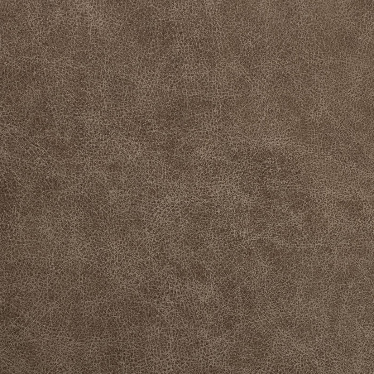 El Paso Oatmeal (M) fabric swatch