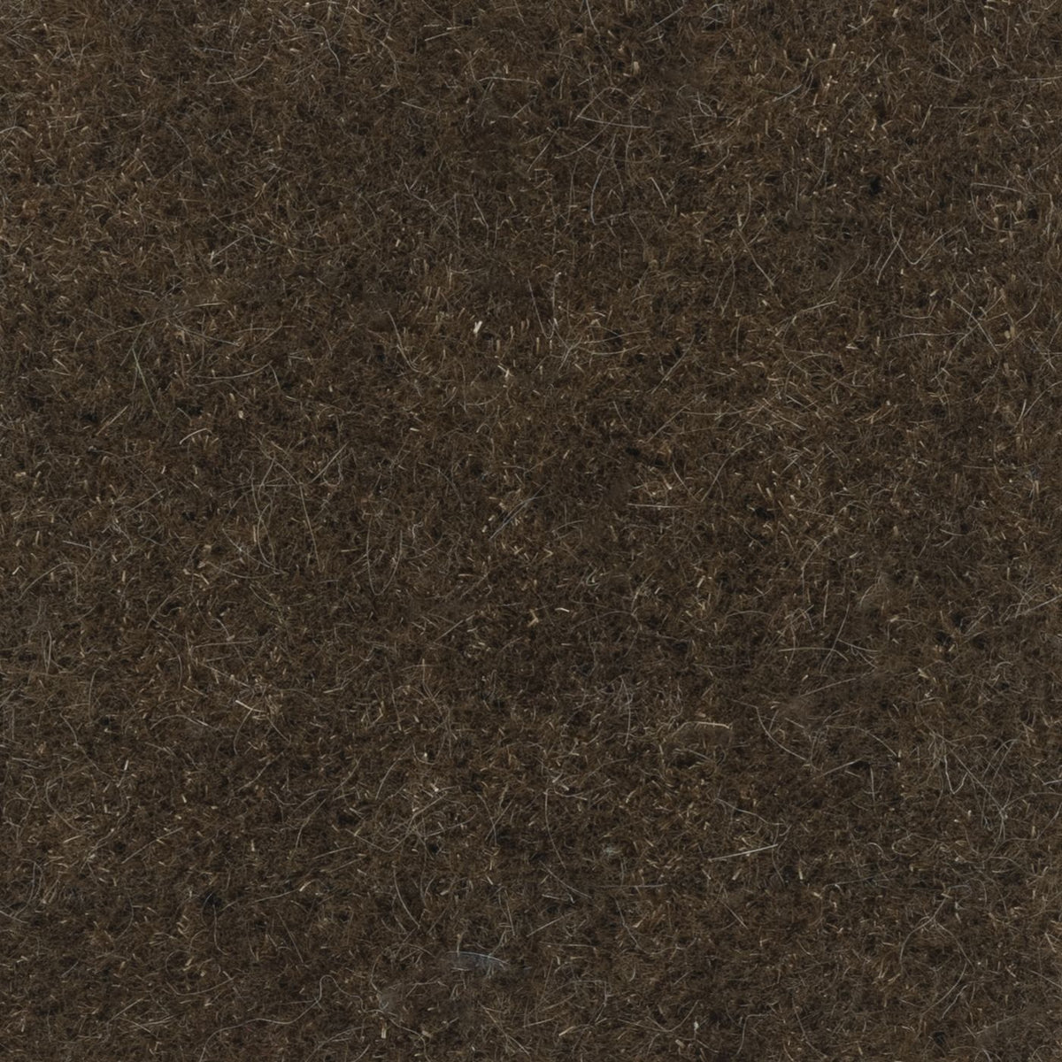 Nevada Fawn (K) fabric swatch